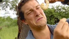Miscellaneous Porn Gif #25132