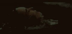 Celebrities Gif #27106