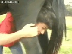 porn gifPart 4 horseshit