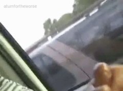 Jackin an Jillin car wank gif