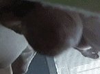 Cock 2 2 oie 5212558nDRh