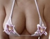 Big Tits Breast Jugs Bouncing Vol Hottits Porn Gif