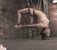 Female Bondage Bobbib Porn Gif