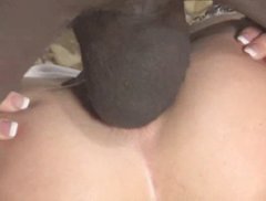 Anal Closeup Porn Gif