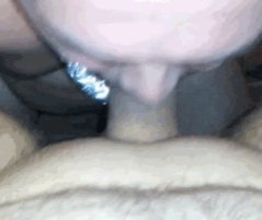 blowjob Porn Gif